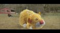 play video on ABC